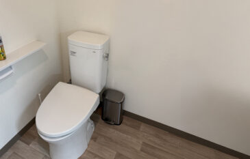 トイレでの立ち座り動作を安全に行いたい（現状の問題点）
